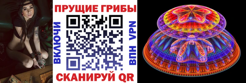 Псилоцибиновые грибы прущие грибы  магазин    Кирово-Чепецк 